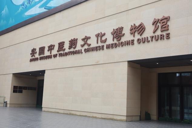 触摸非遗中的智慧脉动