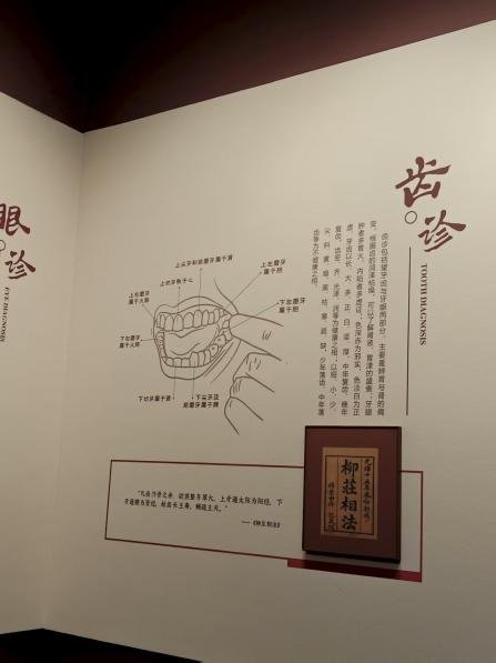 记录了他们与中医药文化对话的思考与感