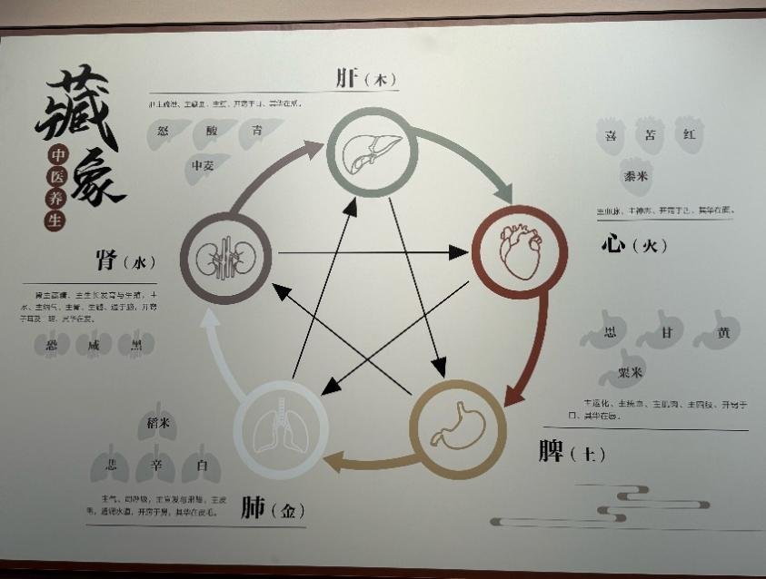 研学感悟精选