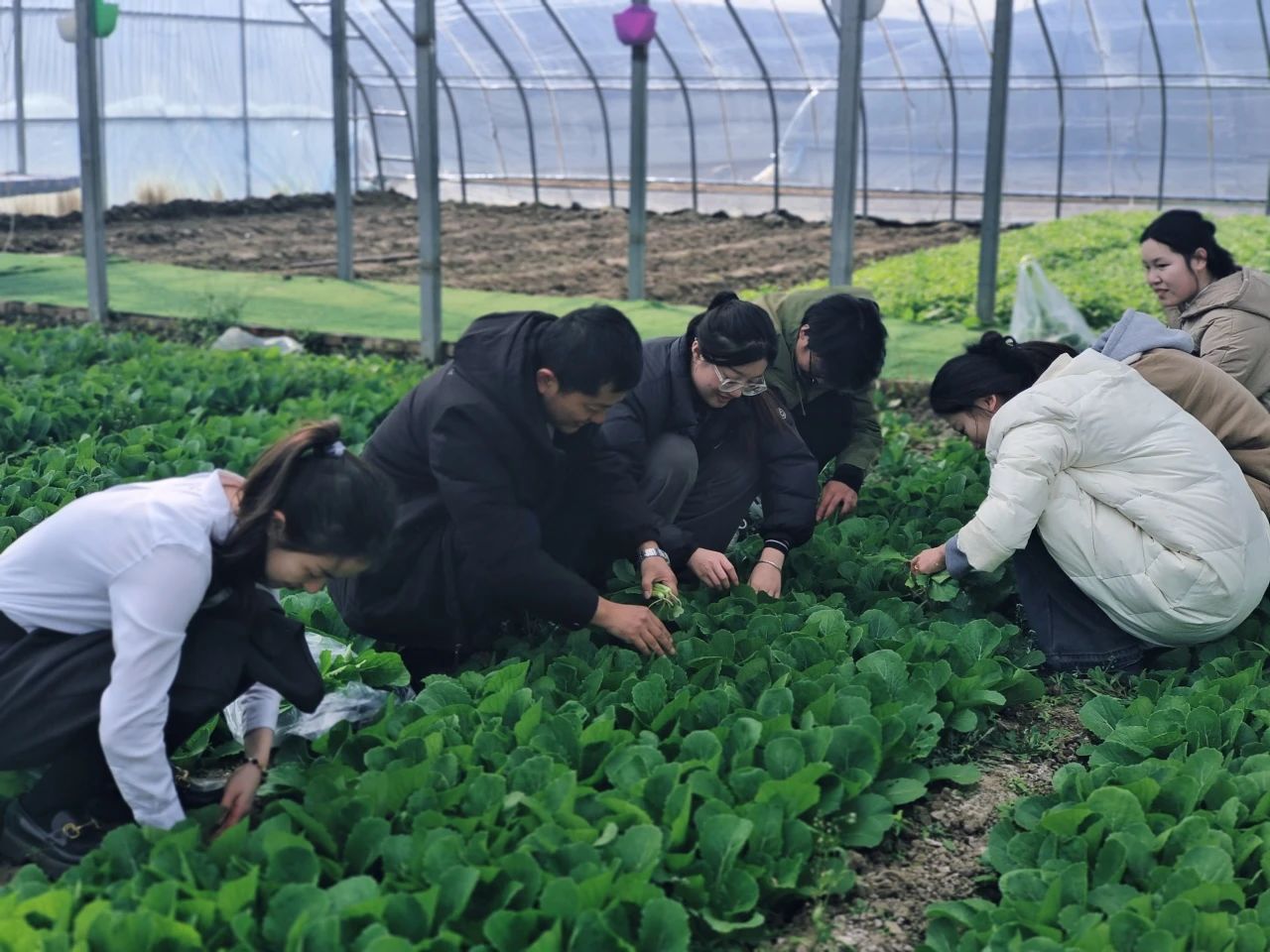 践行“四个善作善成”重要要求